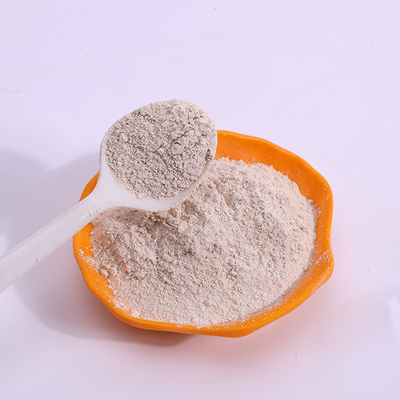 Greentech Ginseng Leaf Extract Powder 4% UV สำหรับอาหารเสริม