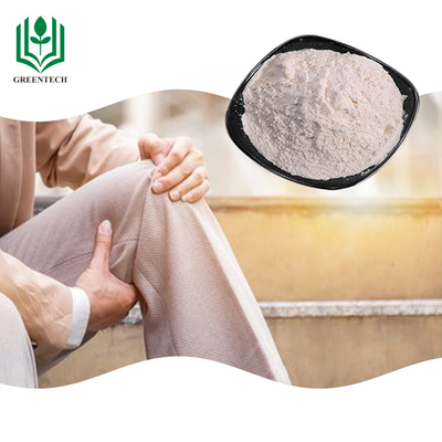 Shark Cartilage Chondroitin Sulfate Supplement Off White Powder สำหรับโรคสะเก็ดเงิน